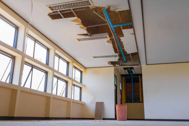Best Water damage restoration near me  in Prince Frederick, MD