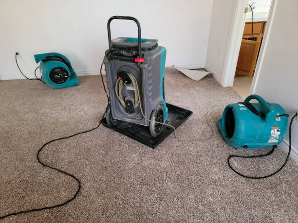 Best Water damage restoration mold remediation  in Prince Frederick, MD