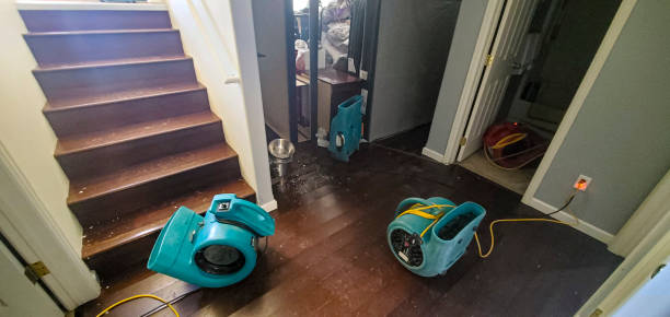 Best Flood damage cleanup  in Prince Frederick, MD