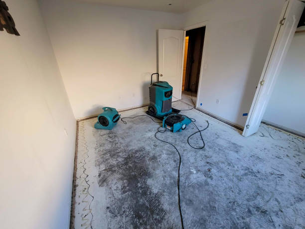Best Flood restoration services  in Prince Frederick, MD