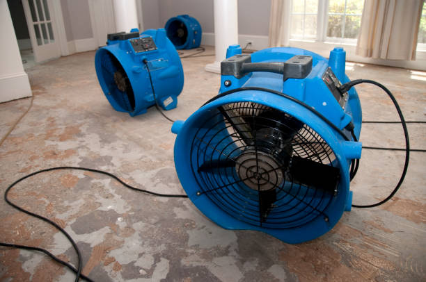 Best Flood damage cleanup  in Prince Frederick, MD