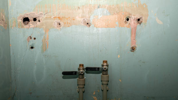 Best Basement water damage restoration  in Prince Frederick, MD