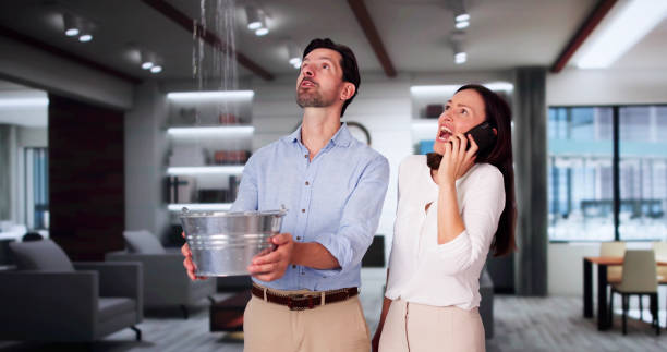 Best Ceiling water damage repair  in Prince Frederick, MD